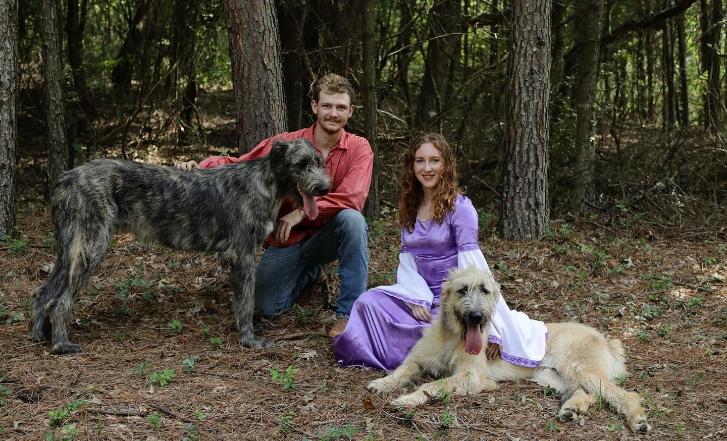 Irish Wolfhounds | Periwinkle Farms Gilmer