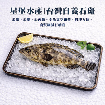 石斑魚.jpg