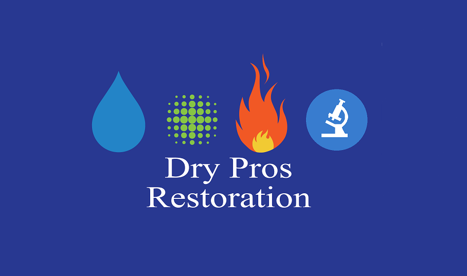 Emergency Disaster Cleanup Boise ID Mold Damage Dry Pros