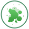 Mold Assessment and Mold Remediation