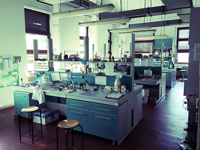 WhatsApp Image 2018-07-26 at 11.05.03_ed