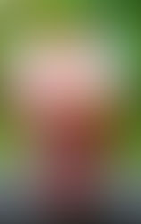 como preparar un cholado?