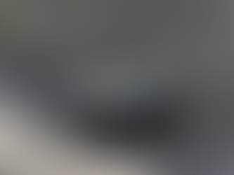 How to Choose the Perfect Stainless Steel Dog Bowl for Your Pet