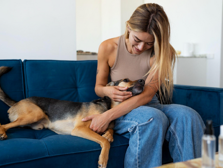 The Complete Beginner's Guide to Deworming Dogs and Cats at Home