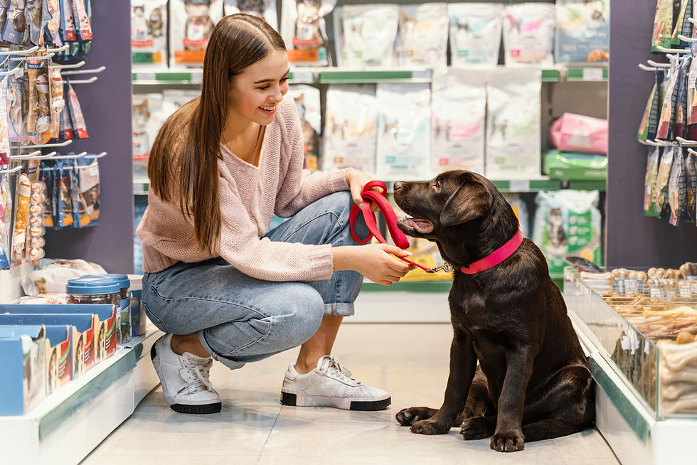 How Pet Products Manufacturers Help E-commerce and Retail Brands Scale Faster