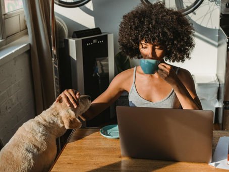Mistakes to Avoid When Creating a Dog Room