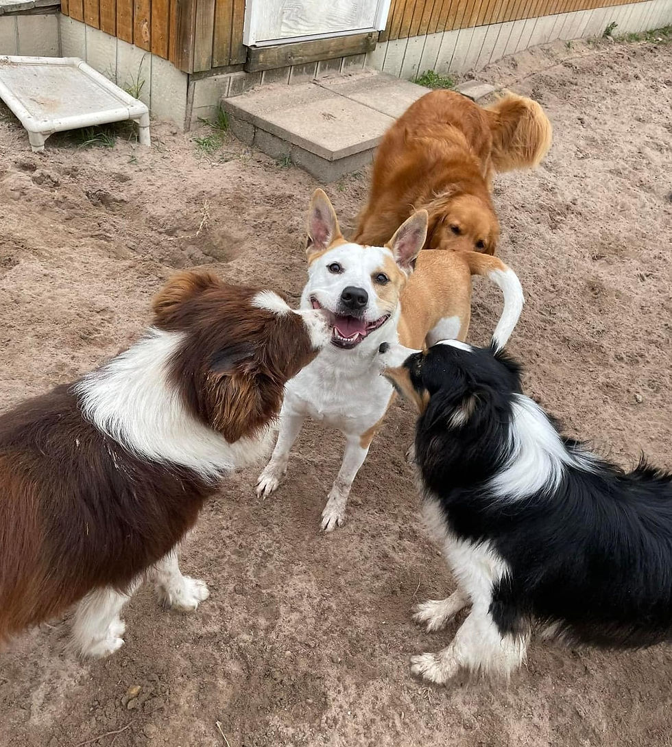 6d3d2e5609c10546858ff925f4070858