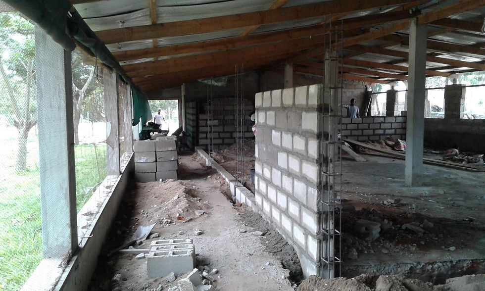 mini_mini_20161125_164632