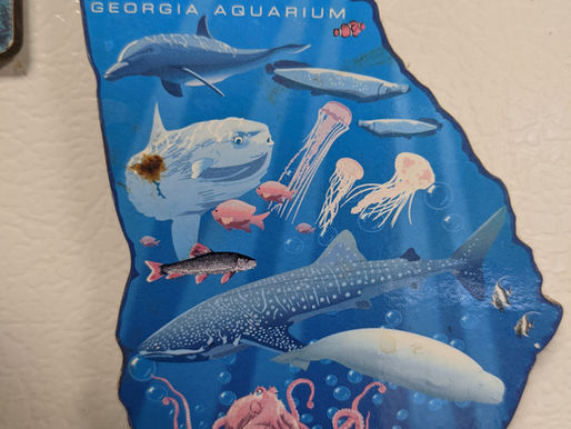 Spring Break 2006 - Post Katrina