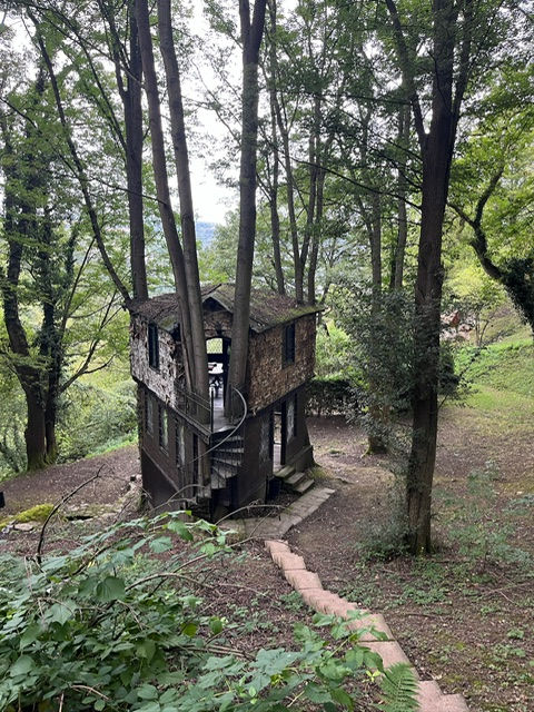 Now THIS is a tree house