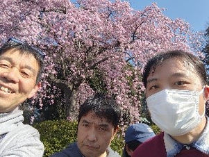 お花見しました