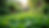 Eye-level view of a serene Ayurvedic herbal garden with lush green plants