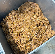 Ground Innoculated Meat_edited.jpg