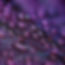 dewdrops-2432391_1280.jpg