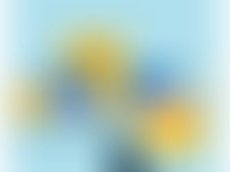 Conquer moving with a pet