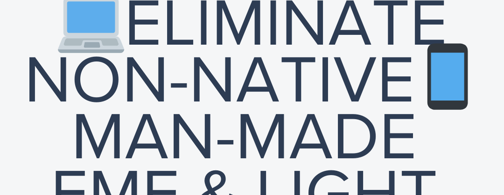 6. Block blue light and NN EMFs