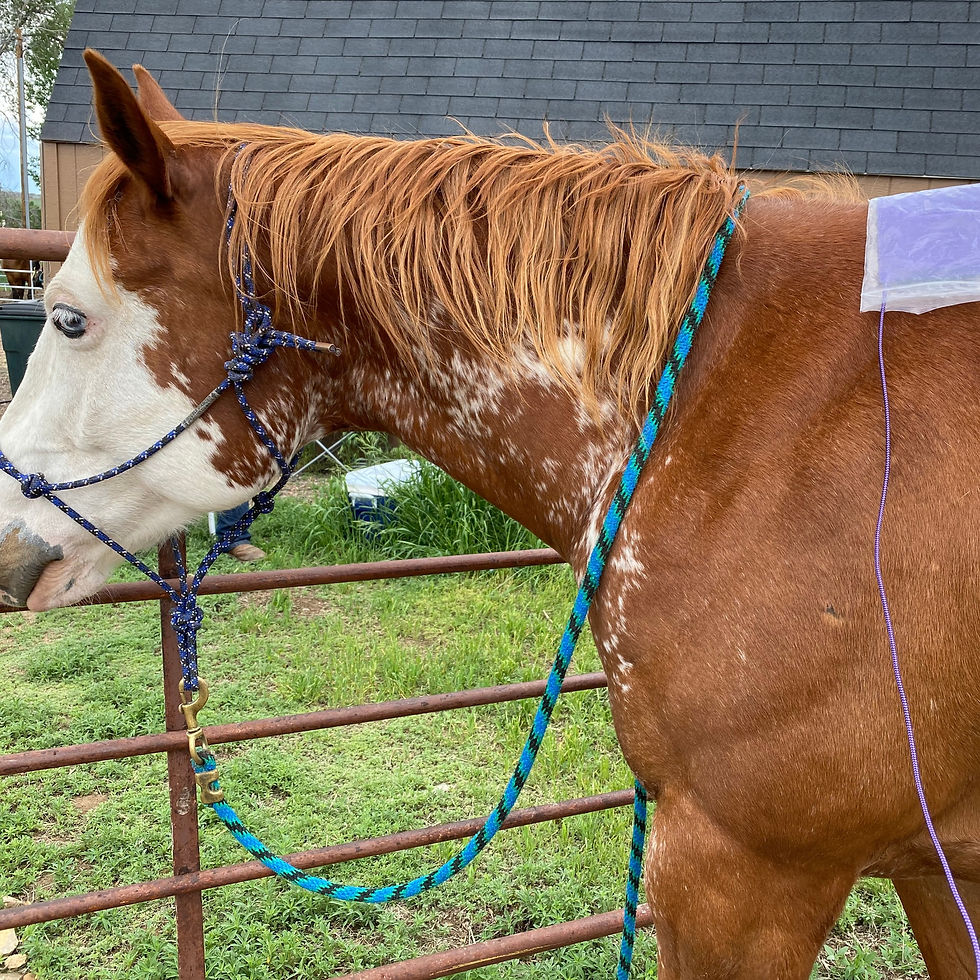 Temp Regulation Treatment