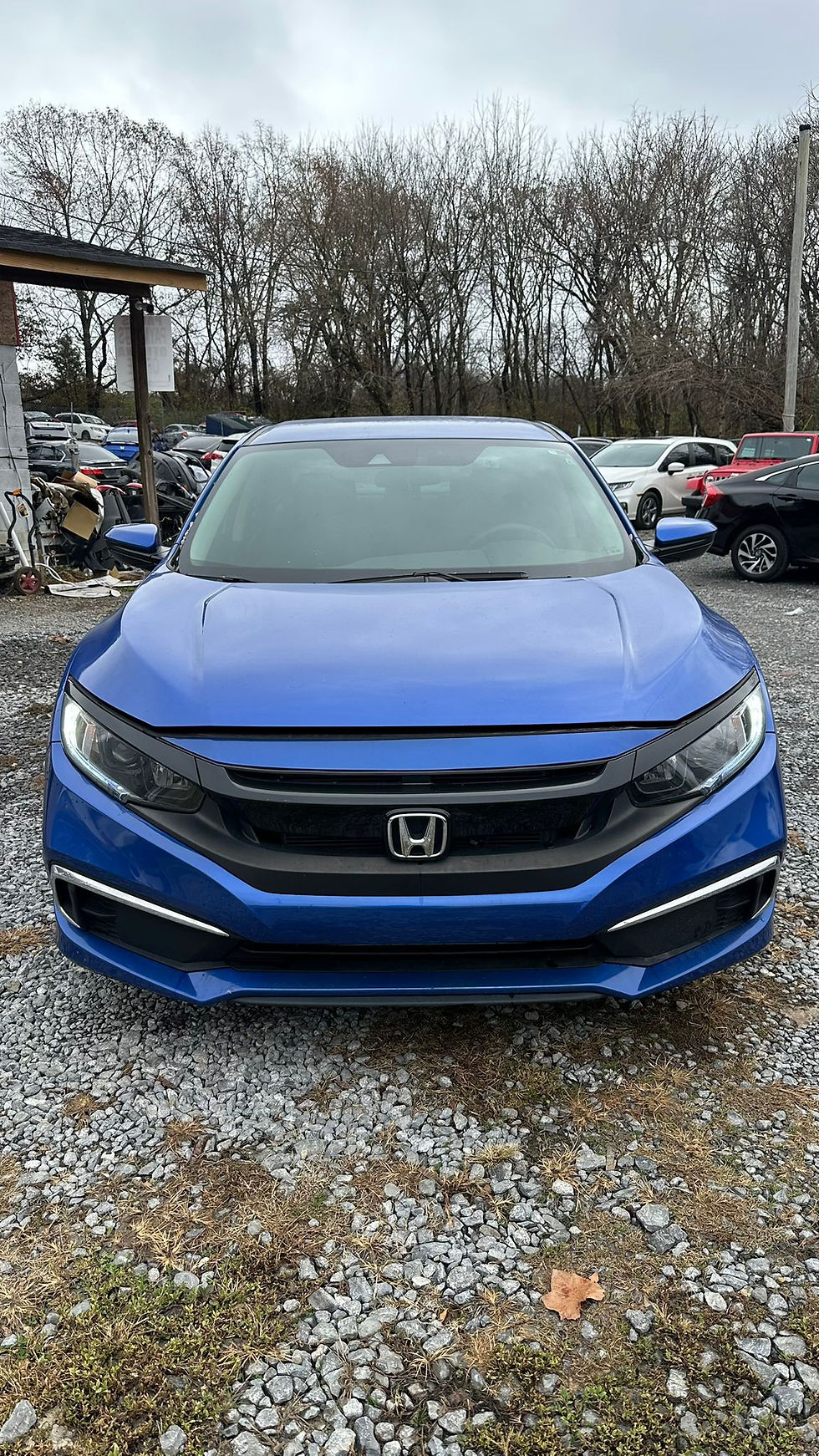 HONDACIVICBLUE20207