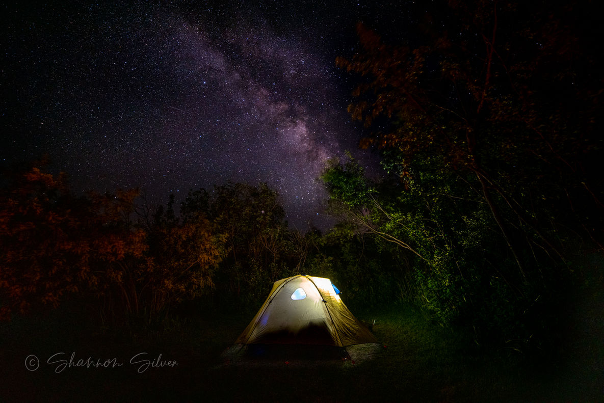 Tent illuminated under the starry expanse of the Milky Way