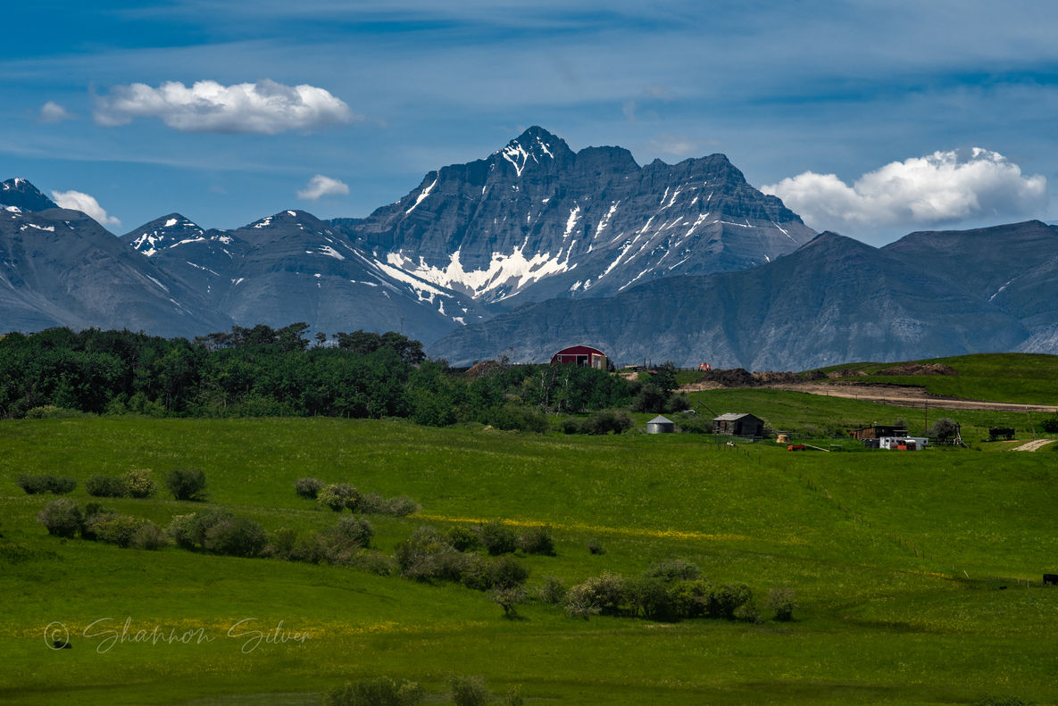 “Majestic Vimy Peak rising above Waterton’s lush surroundings