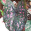 Miniatura: Caladium Rubicundo