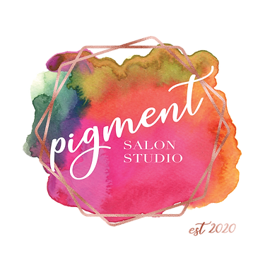 1 Pigment Salon Studio Logo WEB.png
