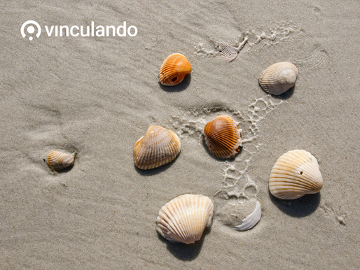 Constelaciones Familiares: ordenar el amor para que la vida fluya