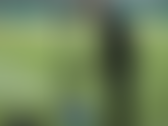 לייבאנלסיס - הכן את עצמך לתקלות!