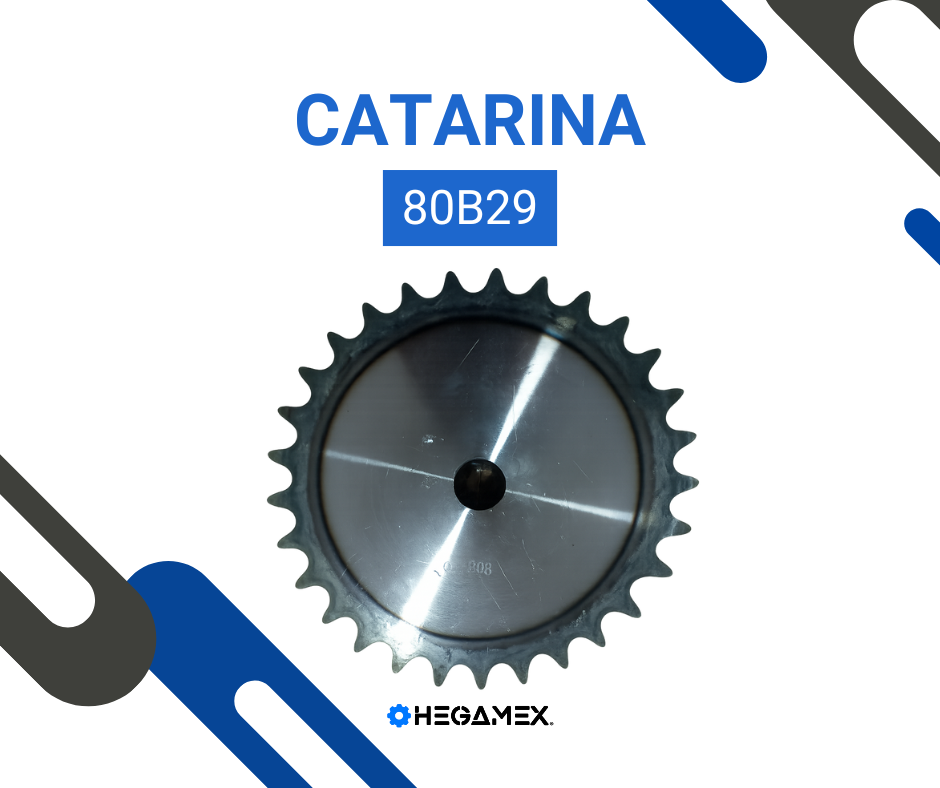 catarina 80-29
