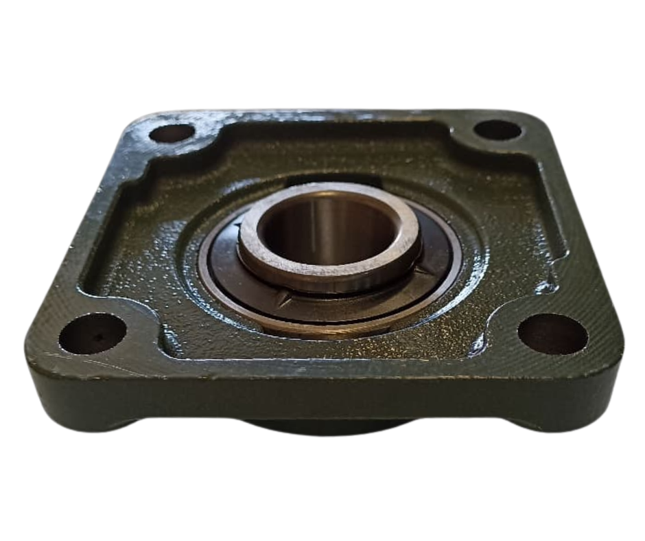 Thumbnail: Chumaceras