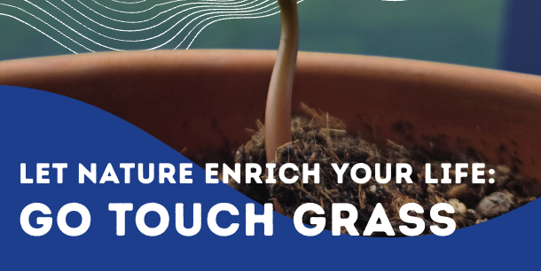 Go Touch Grass