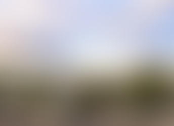 Nacero plant would endanger residents' health, property values and quality of life