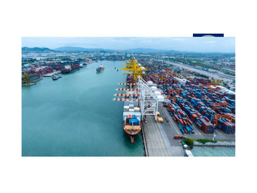 An Urgent Letter to Women of the Green Party