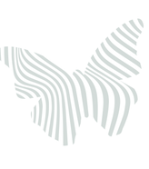 Mental Detox Schmetterling, Hypnose-Coaching und Personal Yoga online und in Glückstadt