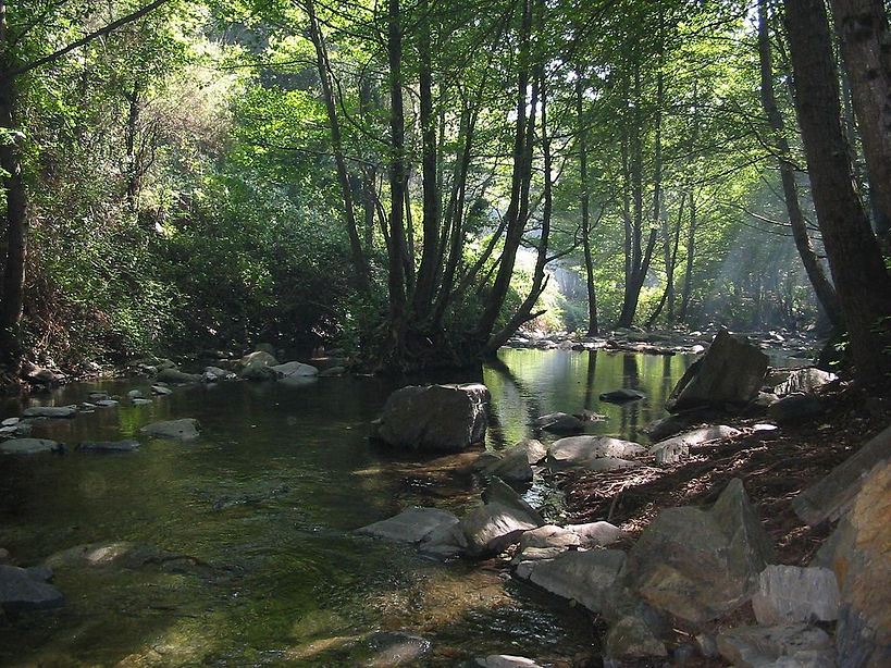 1200px-Montseny_-_Rio_Tordera.jpg
