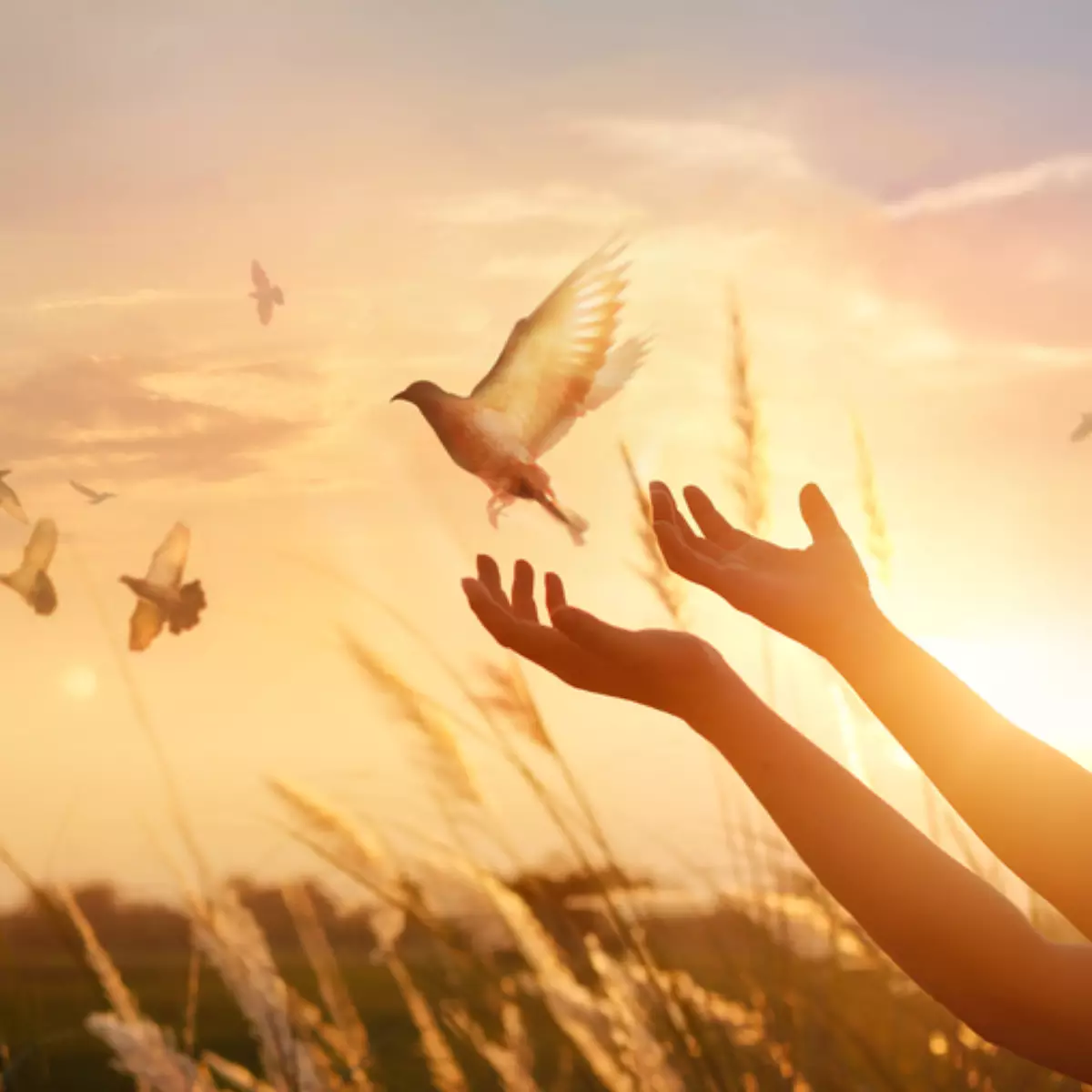 istock-928175916.webp