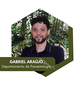 SITE 14ªSBBS - artes do site (9).png