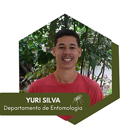 SITE 14ªSBBS - artes do site (29).png