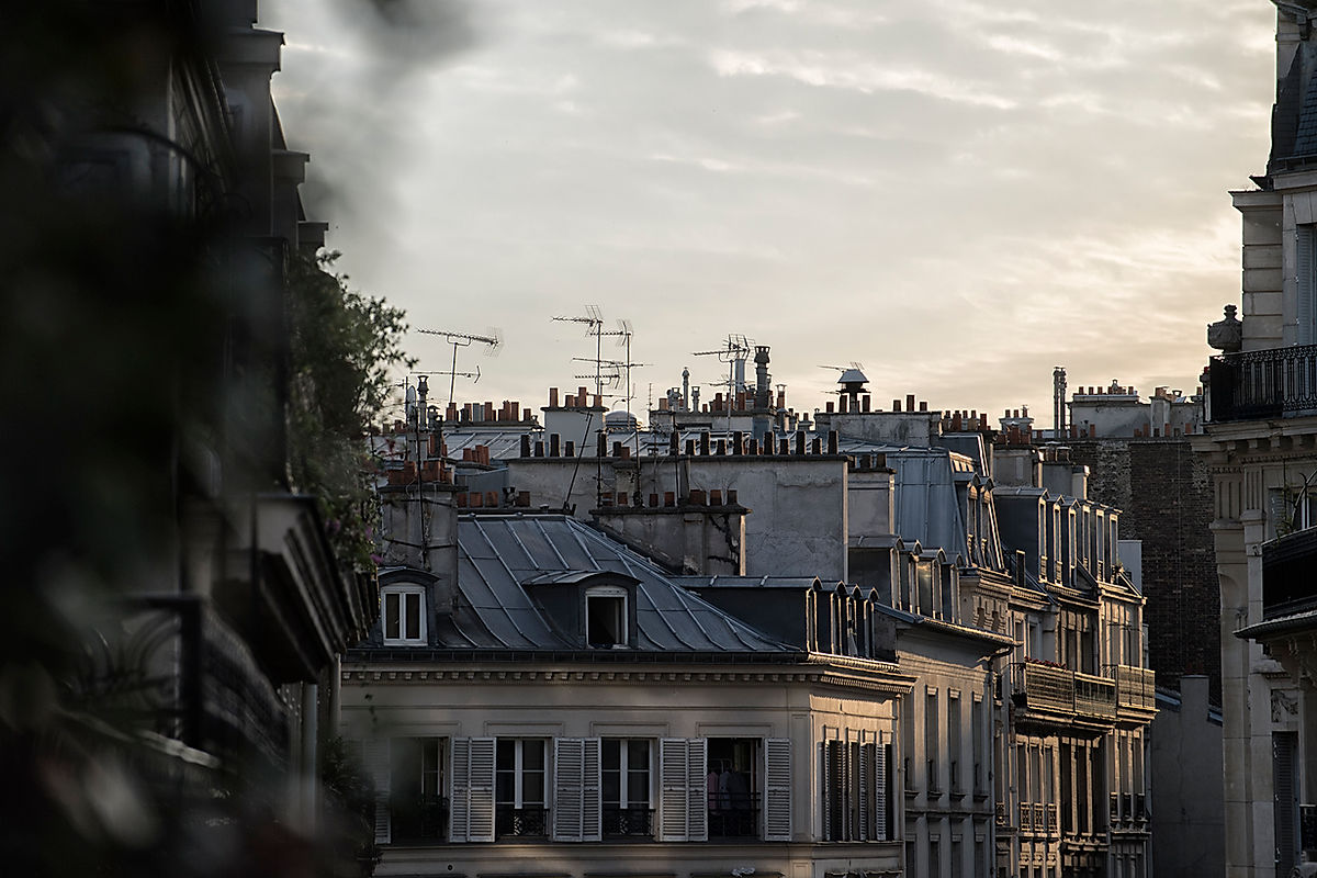 paris sunset roof top illustration.jpg