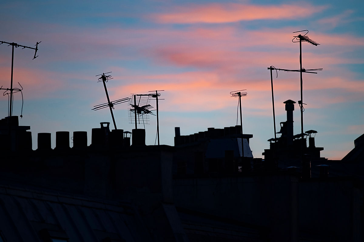 personal roof top paris illustration.jpg