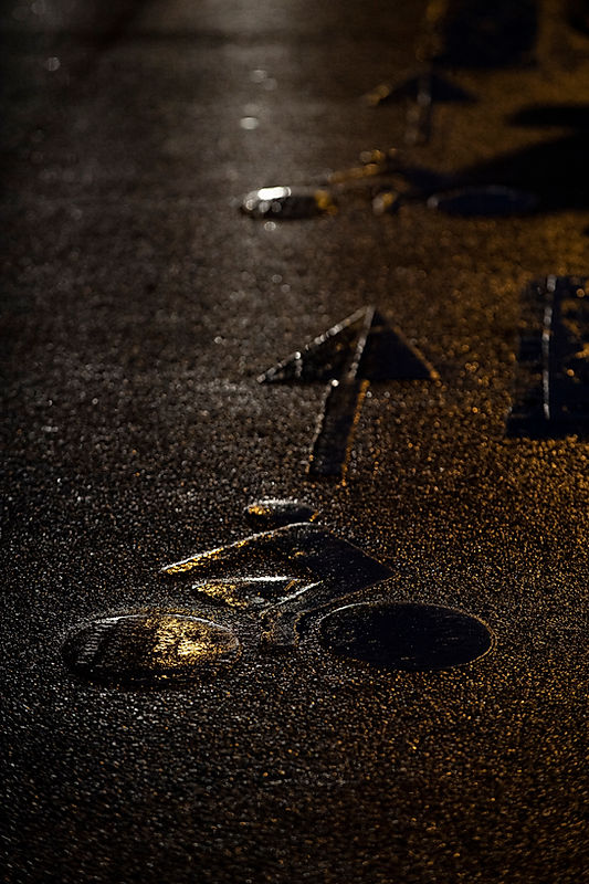cycle lane paris petrol night reflexion.jpg