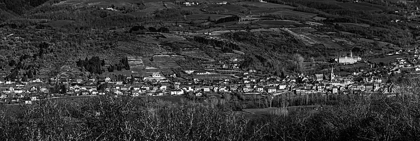 _1NZ1401-Pano47x109 copie.jpg