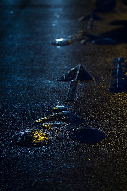 _2NZ3773.jpg