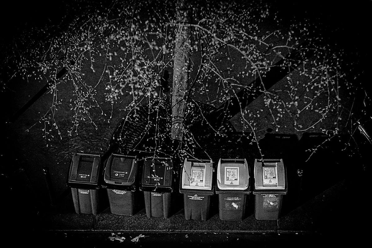 garbage straight spring night.jpg