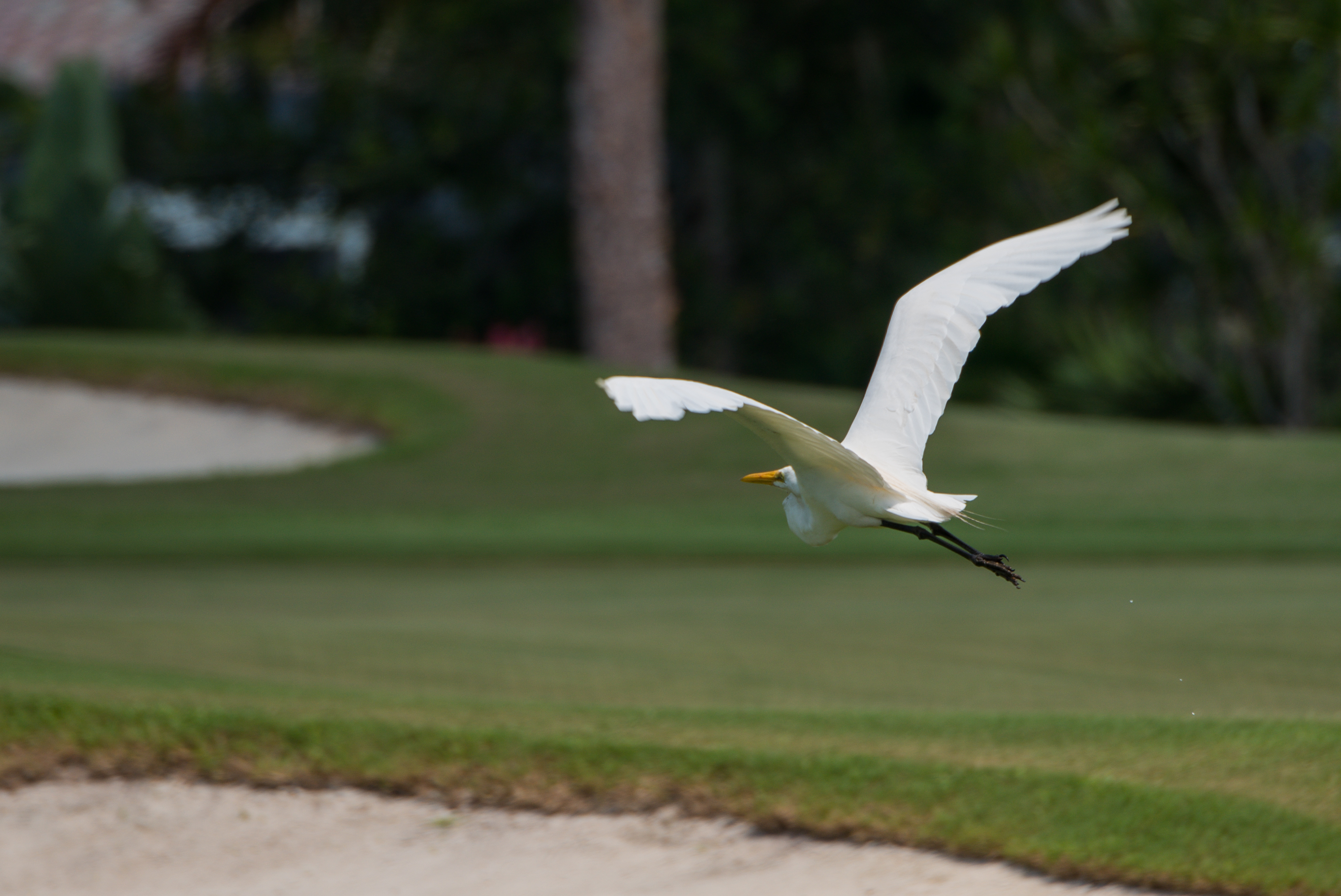 Hobe Sound Golf Club Private Course in Hobe Sound, Martin County, FL