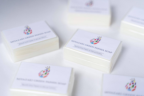 papaya様 BACKLASH MIMOSA GARMENT DYED FLIGHT JACKET -BLACK- | IN ONLINE STORE