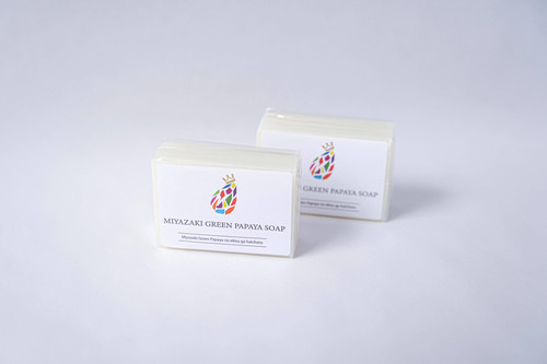 papaya様 Raspberry Pi AI Kit: 開発ツール・ボード 秋月電子通商-電子部品