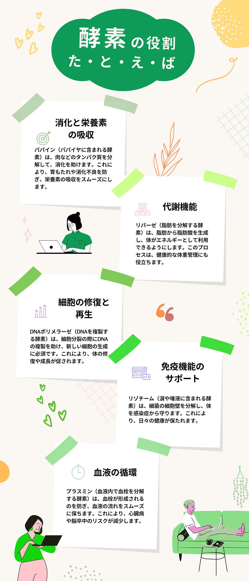 パパイア王子,酵素,パパイヤ