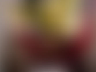 Tiny Totos' 2023 Annual Report