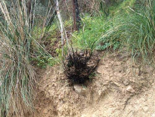 91ece2 b047150f1f61485e903c3271f660e6e8~mv2 Historias de Ovnis : Caso ovnis en Sicilia 2004: los científicos admiten tesis extraterrestre entre las supuestas explicaciones